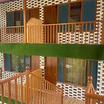 Manali Vibes
